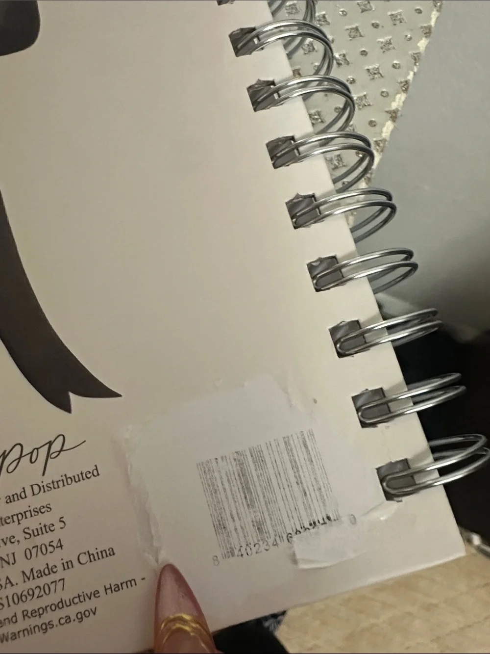 Posh + Pop Bow Top Silver Ballpoint Pen and Journal